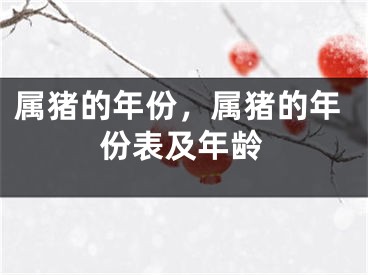 属猪的年份，属猪的年份表及年龄