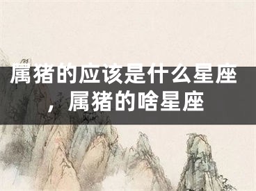 属猪的应该是什么星座,属猪的啥星座
