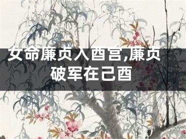 女命廉贞入酉宫,廉贞破军在己酉