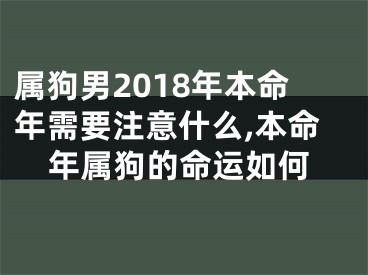 属狗男2018年本命年需要注意什么,本命年属狗的命运如何