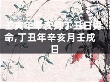 壬寅年辛亥月丁丑日男命,丁丑年辛亥月壬戌日
