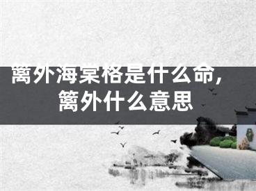 篱外海棠格是什么命,篱外什么意思