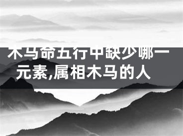 木马命五行中缺少哪一元素,属相木马的人