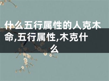 什么五行属性的人克木命,五行属性,木克什么