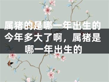 属猪的是哪一年出生的今年多大了啊，属猪是哪一年出生的