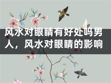 风水对眼睛有好处吗男人，风水对眼睛的影响