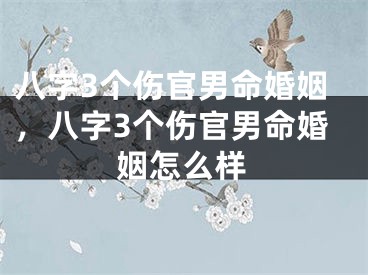 八字3个伤官男命婚姻，八字3个伤官男命婚姻怎么样