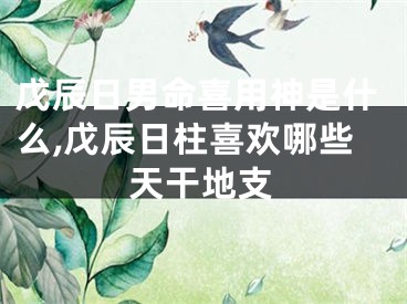 戊辰日男命喜用神是什么,戊辰日柱喜欢哪些天干地支