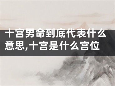 十宫男命到底代表什么意思,十宫是什么宫位
