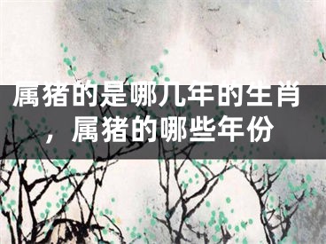 属猪的是哪几年的生肖，属猪的哪些年份