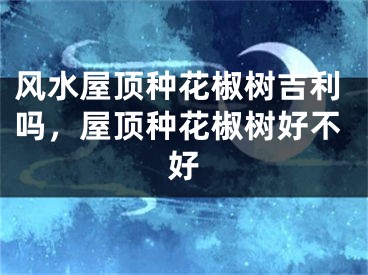 风水屋顶种花椒树吉利吗,屋顶种花椒树好不好