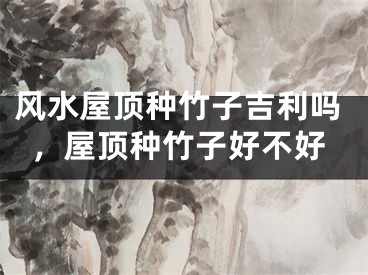 风水屋顶种竹子吉利吗，屋顶种竹子好不好