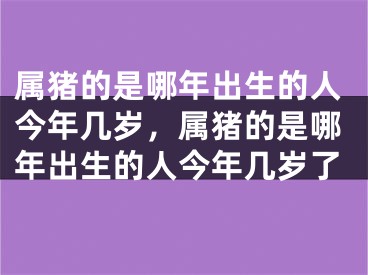 属猪的是哪年出生的人今年几岁，属猪的是哪年出生的人今年几岁了