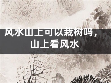 风水山上可以栽树吗,山上看风水