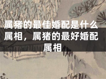 属猪的最佳婚配是什么属相，属猪的最好婚配属相