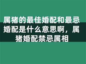 属猪的最佳婚配和最忌婚配是什么意思啊,属猪婚配禁忌属相