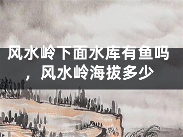 风水岭下面水库有鱼吗，风水岭海拔多少