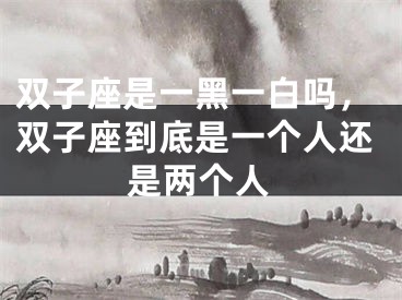 双子座是一黑一白吗，双子座到底是一个人还是两个人