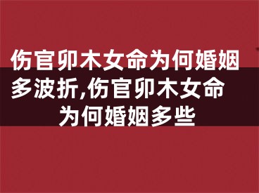 伤官卯木女命为何婚姻多波折,伤官卯木女命为何婚姻多些