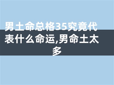 男土命总格35究竟代表什么命运,男命土太多