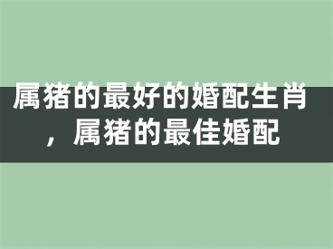 属猪的最好的婚配生肖，属猪的最佳婚配