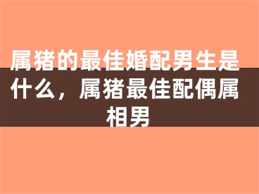 属猪的最佳婚配男生是什么，属猪最佳配偶属相男