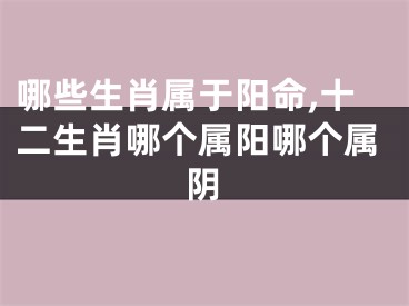 哪些生肖属于阳命,十二生肖哪个属阳哪个属阴