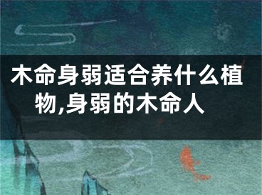 木命身弱适合养什么植物,身弱的木命人
