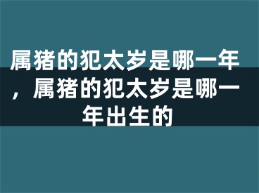 属猪的犯太岁是哪一年，属猪的犯太岁是哪一年出生的