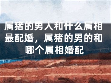 属猪的男人和什么属相最配婚，属猪的男的和哪个属相婚配