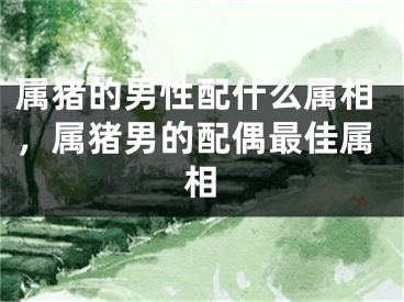 属猪的男性配什么属相，属猪男的配偶最佳属相