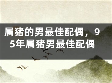 属猪的男最佳配偶，95年属猪男最佳配偶
