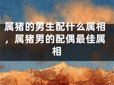属猪的男生配什么属相，属猪男的配偶最佳属相
