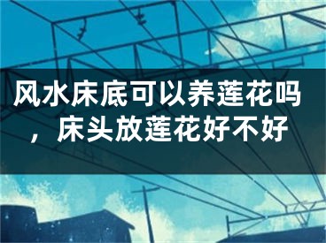 风水床底可以养莲花吗，床头放莲花好不好