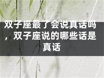 双子座最了会说真话吗,双子座说的哪些话是真话