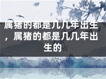 属猪的都是几几年出生，属猪的都是几几年出生的