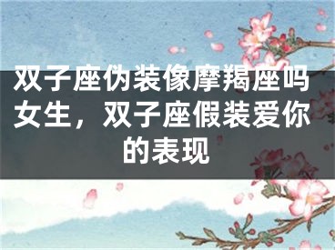 双子座伪装像摩羯座吗女生，双子座假装爱你的表现