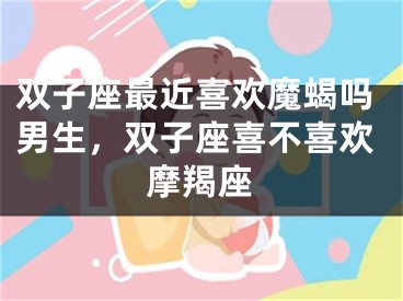 双子座最近喜欢魔蝎吗男生，双子座喜不喜欢摩羯座