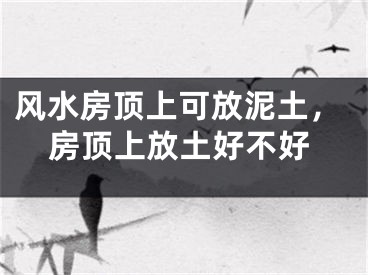 风水房顶上可放泥土,房顶上放土好不好