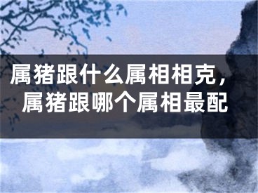 属猪跟什么属相相克，属猪跟哪个属相最配
