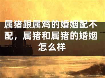 属猪跟属鸡的婚姻配不配，属猪和属猪的婚姻怎么样
