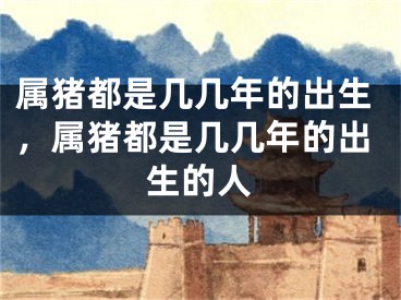 属猪都是几几年的出生，属猪都是几几年的出生的人
