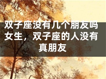 双子座没有几个朋友吗女生,双子座的人没有真朋友