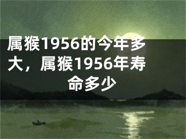 属猴1956的今年多大,属猴1956年寿命多少