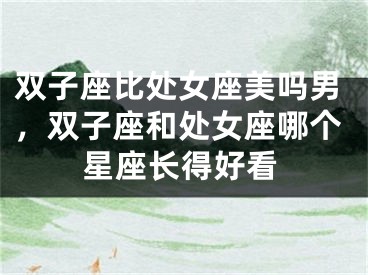 双子座比处女座美吗男，双子座和处女座哪个星座长得好看