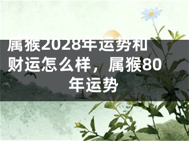 属猴2028年运势和财运怎么样，属猴80年运势