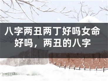 八字两丑两丁好吗女命好吗，两丑的八字