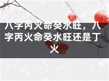 八字丙火命癸水旺,八字丙火命癸水旺还是丁火