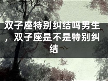 双子座特别纠结吗男生，双子座是不是特别纠结