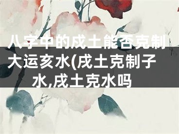 八字中的戍土能否克制大运亥水(戌土克制子水,戌土克水吗